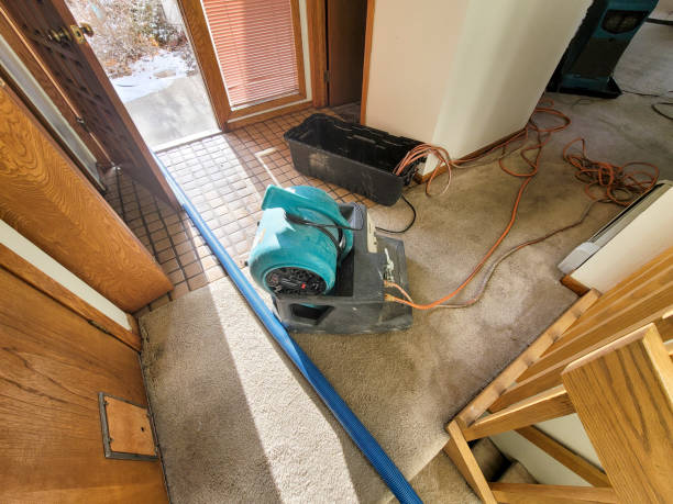 Water damage restoration insurance claims in CO