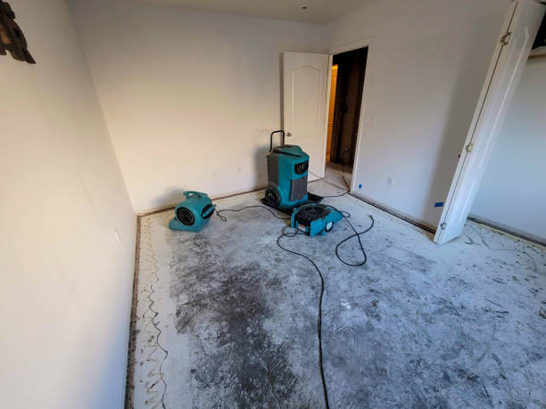 Best Water damage contractors near me  in Ken Caryl, CO