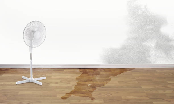 Best Water damage restoration mold remediation  in Ken Caryl, CO